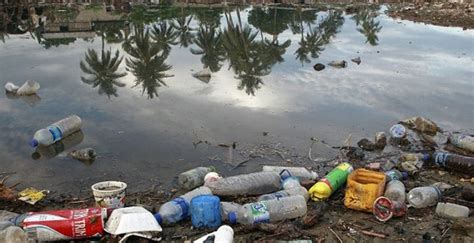 Brasil O Quarto Pa S Que Mais Produz Lixo No Mundo Diz Wwf Ag Ncia