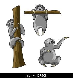 Cartoon Sloths Cute Sloth Hanging On Branch In Amazon Rainforest Lazy