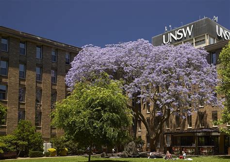 Unsw Sydney Women Leading The Charge Unsw Newsroom