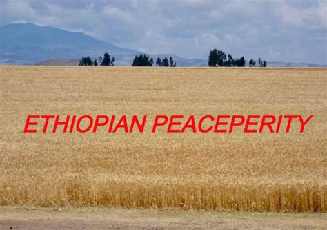 Converting Our Peace Dividend Into Ethiopian Peaceperity Al Mariams