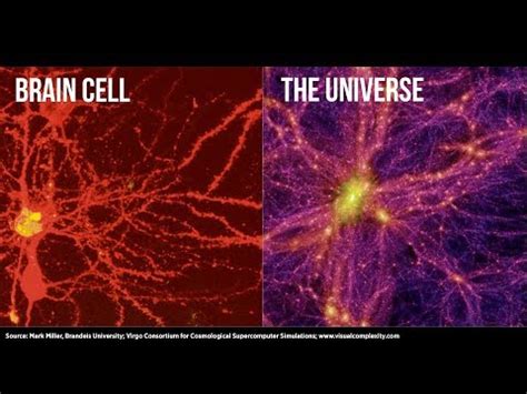 Scientists Find Evidence That The Universe Is A GIANT BRAIN YouTube