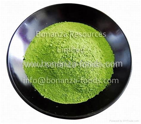 Healthy drink ingredient Green Tea Powder Maccha - Bonanza (China ...