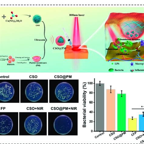 The Fabrication Of The Microspheres Using The Microfluidic Technology Download Scientific