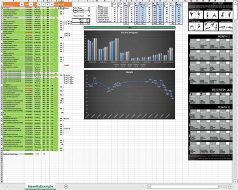 Insanity Max Fitness Tracker Excel Spreadsheet Etsy