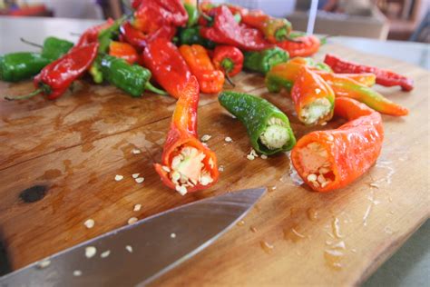 Fermented Hot Sauce Mudslide Stoneware