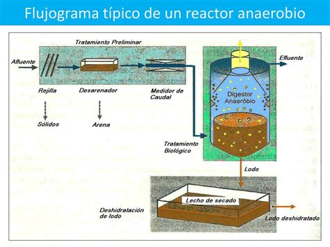 Ppt Mapa Conceptual Reactor Anaerobio De Flujo Horizontal Con Medio Sexiz Pix