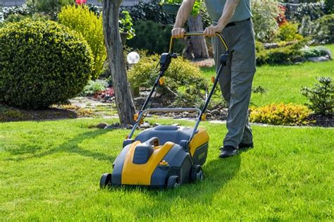 Lawn Care Tips For Spring Conners Lawn Care