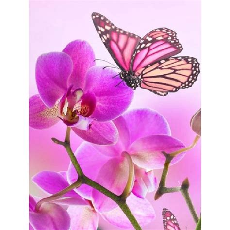 ORCHIDS AND PINK BUTTERFLY Diamond Painting Kit – DAZZLE CRAFTER ...