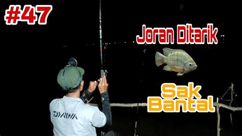 Mancing Malam Hari Spot Nila Babon Babon Youtube