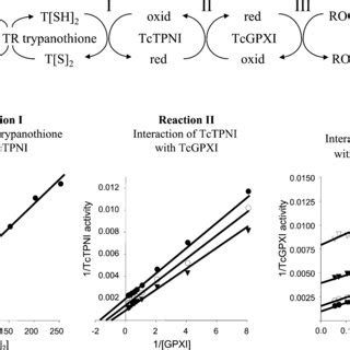 Purification Of The Redox Active Shuttle Molecule Fractions Obtained