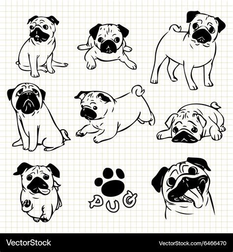 Pug Royalty Free Vector Image Vectorstock