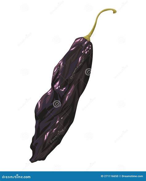 Pasilla Chilli Hot Vegetable Stock Illustration Illustration Of Chili Fire 271116650