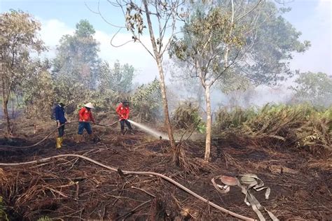 Kebakaran Hutan Dan Lahan Meluas Situasi Udara Di Kubu Raya Dan