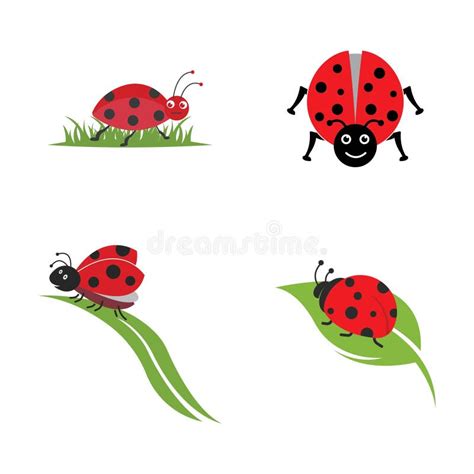 Ladybug Vector. Ladybug on White Background Stock Illustration - Illustration of smile, wild ...