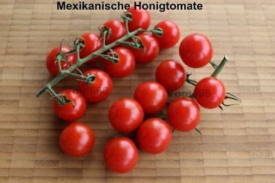 Mexikanische Honigtomate 15 Samen süße ertragreiche Sorte Miel de