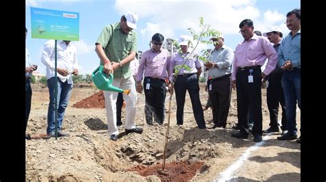 Maximum Tree Plantations Record Good Survival Rate In The City