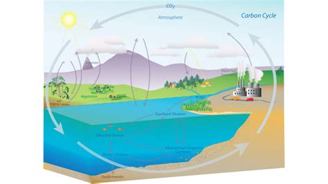 carbon cycle national oceanic  atmospheric administration