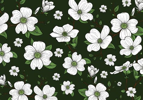 Dogwood Flowers Background Wallpaper 157542 Vector Art At Vecteezy