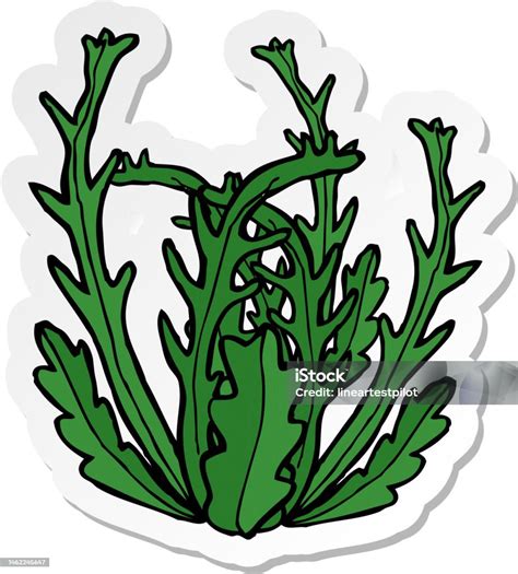 Stiker Rumput Laut Kartun Ilustrasi Stok Unduh Gambar Sekarang Clip