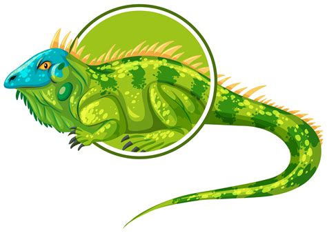 Chia sẻ với hơn 90 sticker iguana Cực dễ Co Created English