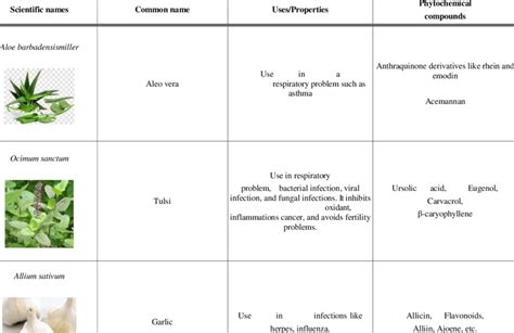 Lists Of Medicinal Plants Which Have Antiviral Properties And Can Be