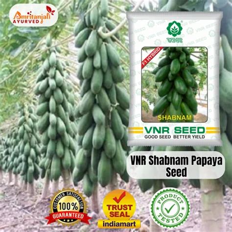 Vnr Shabnam Papaya Seeds Packaging Type Packet Packaging Size Gm