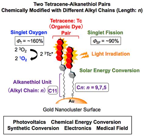 Successful high-efficiency energy conversion with organic monolayer on