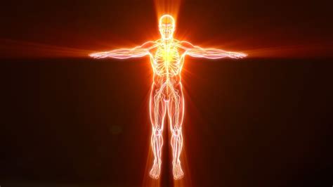 Alpha Waves Regenerate Whole Body Stop Negative Thoughts Eliminate