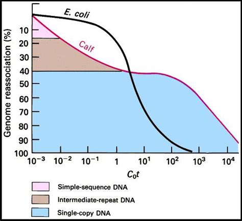 Cot value and Cot Curve analysis ~ Biology Exams 4 U