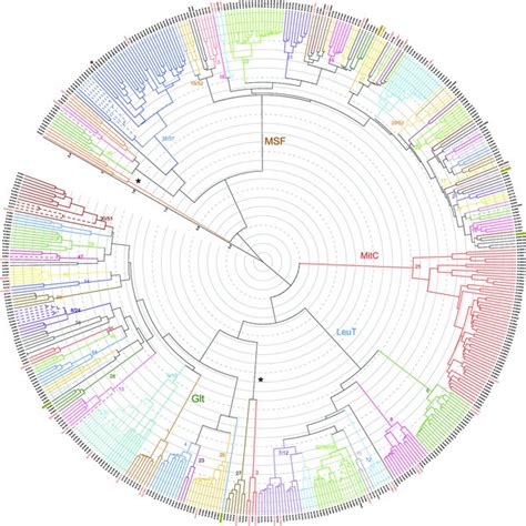 Hierarchical Clustering Based On Structural Similarity Between