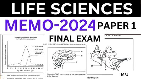 2024 MEMO FINAL EXAM LIFE SCIENCES SCIENCES P 1 PAPER 1 GRADE 12 M J