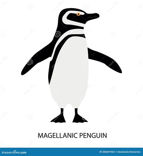 Illustration with Magellanic Penguin. Cute Cartoon Character Stock ...