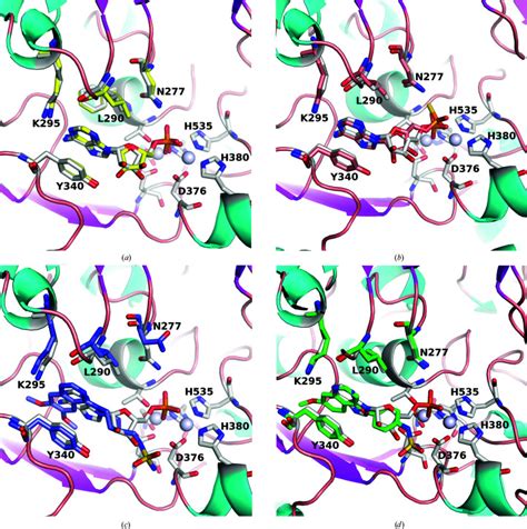 crystal structures  human enpp  apo  bound forms pmc