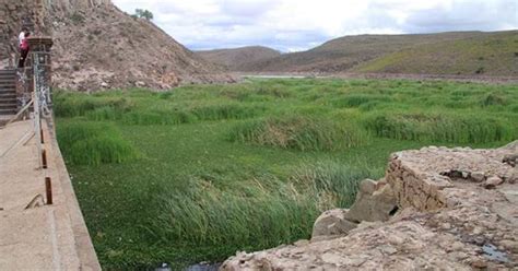 Retiro Del Lirio En La Presa De San Jos Soluci N Integral