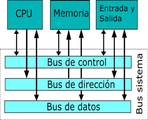 Cu Les Son Los Tipos De Buses Campervaning