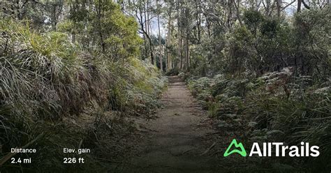 Don River Tramway Trail, Tasmania, Australia - 4 Reviews, Map | AllTrails