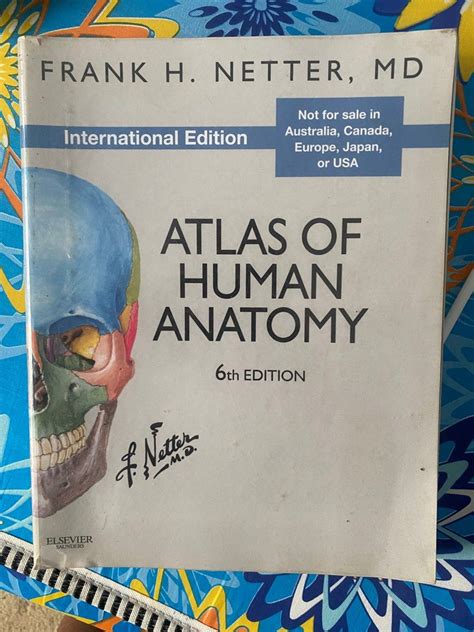 Netters Atlas Of Human Anatomy Th International Edition Hobbies