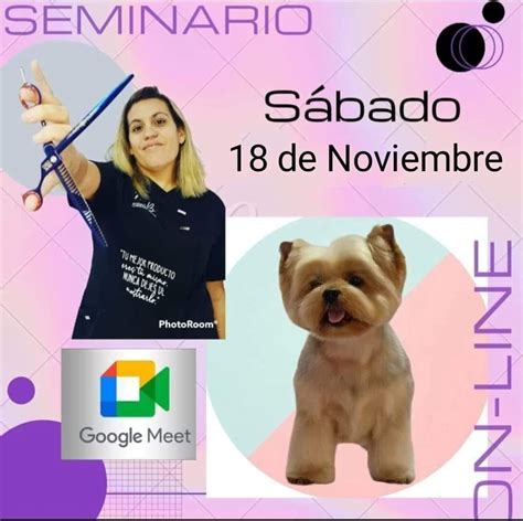 Pr Ximos Seminarios De Peluquer A Canina En Espa A Peluqueria Canina