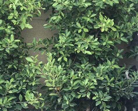 Emily Lynne on Twitter: "This is what happens when I try to get Titan