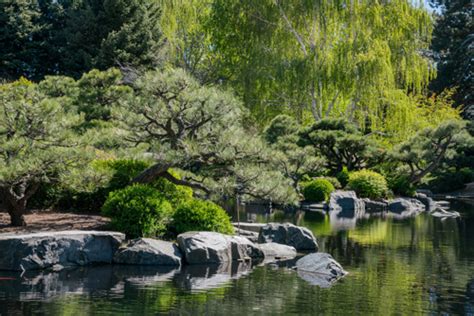 Denver Botanical Gardens And Flower Fields Bouqs Blog