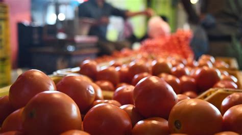 Tomato Prices Surge Up To ₹140kg In Delhi Ncr The Hindu