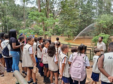 Projeto Rede De Protetores Mirins No Parque Ecol Gico De Itabirito