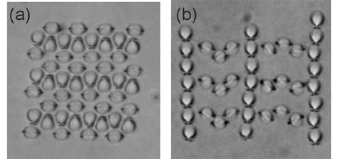 Two Examples Of 2d Binary Nematic Colloidal Crystals Structures