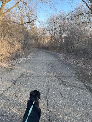 Raceway Woods Forest Preserve In Carpentersville Illinois Zaubee