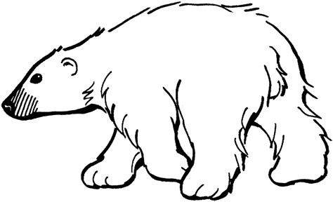 Free Polar Bear Black And White Clipart, Download Free Polar Bear Black ...