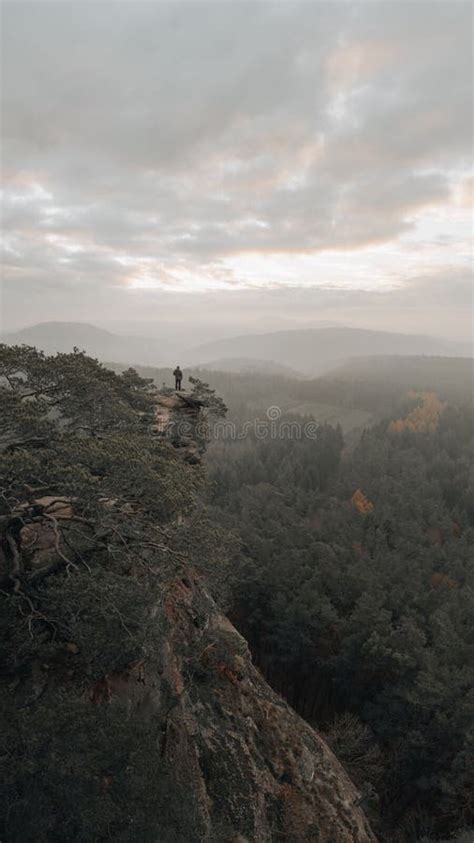 Aerial View Of Cliff Edge Surrounded By Dense Trees Stock Photo Image