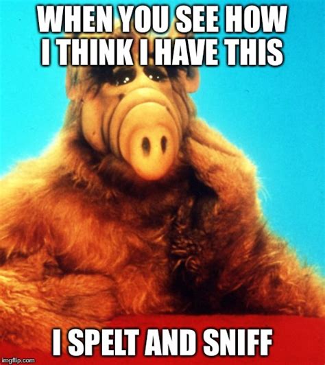 Alf The Alien Imgflip