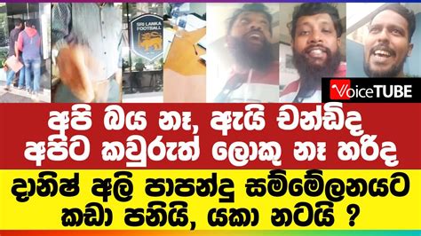 අපි බය නෑ ඇයි චන්ඩිද අපිට කවුරුත් ලොකු නෑ හරිද දානිෂ් අලි පාපන්දු සම්මේලනයට කඩා පනියි යකා