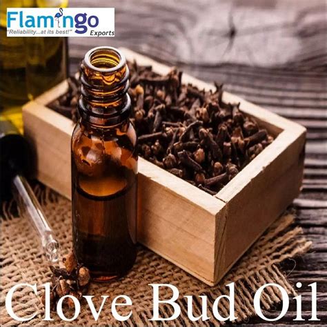 Clove Bud Oil 99 Pure At Rs 2000 Kg In Indore ID 23318141348