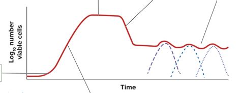 Bacterial Growth Curve Diagram Quizlet